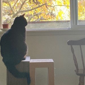 Meet your Posher, Paige